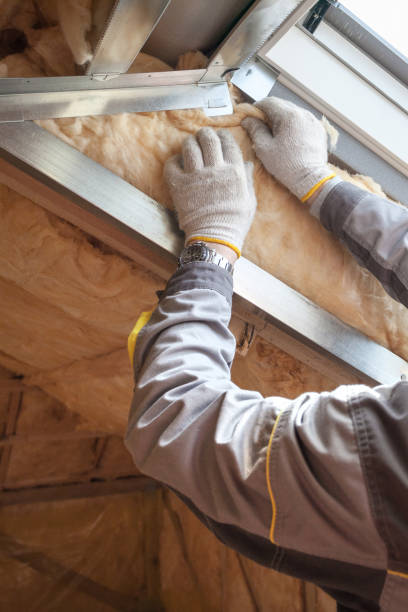 Best Cellulose Insulation in Mount Vernon, IL