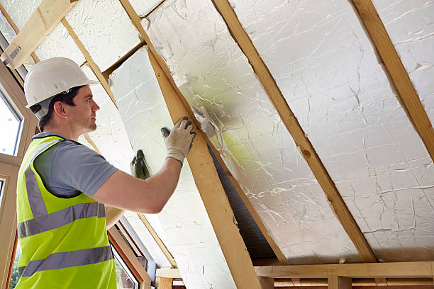 Best Insulation Maintenance and Repair in Mount Vernon, IL