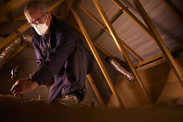 Best Insulation for Specific Applications in Mount Vernon, IL